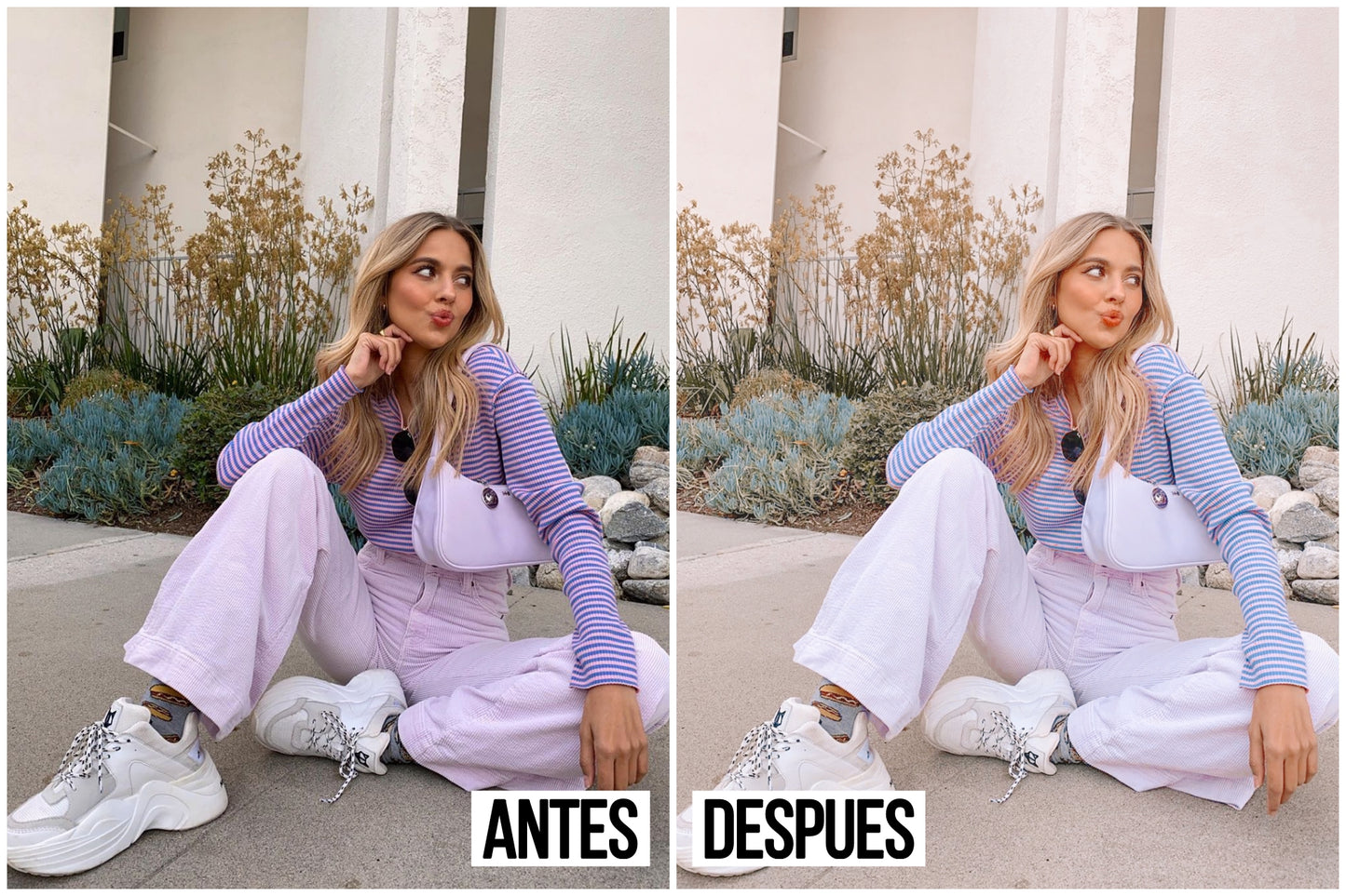 "MINIMALIST PASTELS"